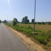  Agricultural Land for Sale in Reni, Alwar