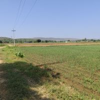  Agricultural Land for Sale in Ramgarh, Alwar