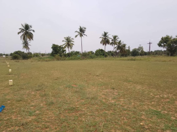  Residential Plot for Sale in Somasipadi, Tiruvannamalai
