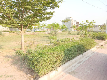  Residential Plot for Sale in Sector 123 Mohali