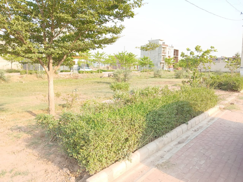  Residential Plot 125 Sq. Yards for Sale in Sector 123 Mohali
