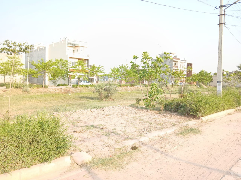  Residential Plot 125 Sq. Yards for Sale in Sector 123 Mohali