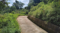 Residential Plot for Sale in Palampur, Kangra