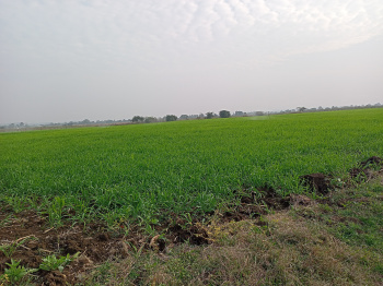  Agricultural Land for Sale in Chaurai Khas, Chhindwara