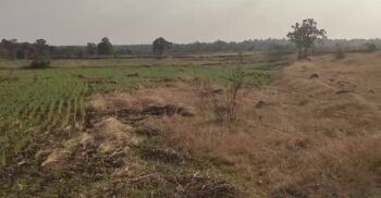  Agricultural Land for Sale in Bichhua, Chhindwara