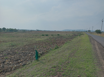  Agricultural Land for Sale in Panjra, Seoni