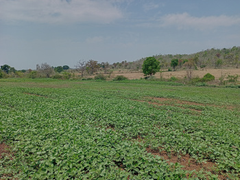  Agricultural Land for Sale in Kurai, Seoni