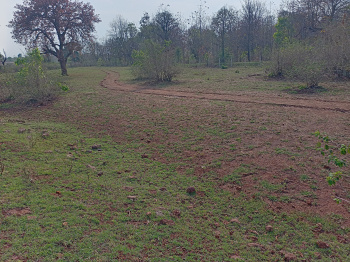  Agricultural Land for Sale in Bakodi, Seoni