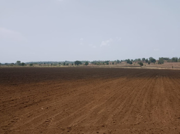  Agricultural Land for Sale in Kurai, Seoni