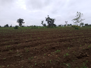  Agricultural Land for Sale in Kurai, Seoni