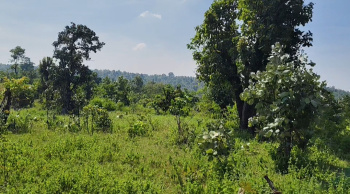  Agricultural Land for Sale in Karmajhiri Gate, Seoni, Seoni