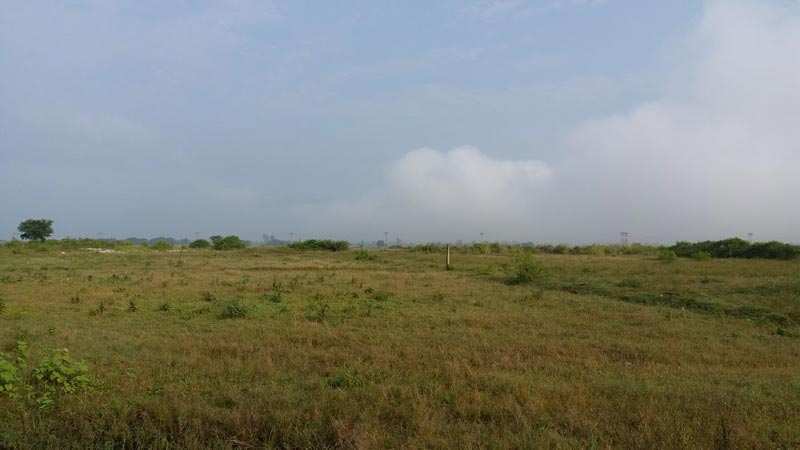 Agricultural Land 30 Acre for Sale in GT Karnal Road, Sonipat