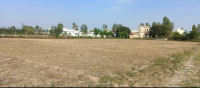  Agricultural Land for Sale in Selaqui, Dehradun