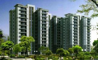 3 BHK Flat for Sale in Sector 111 Gurgaon