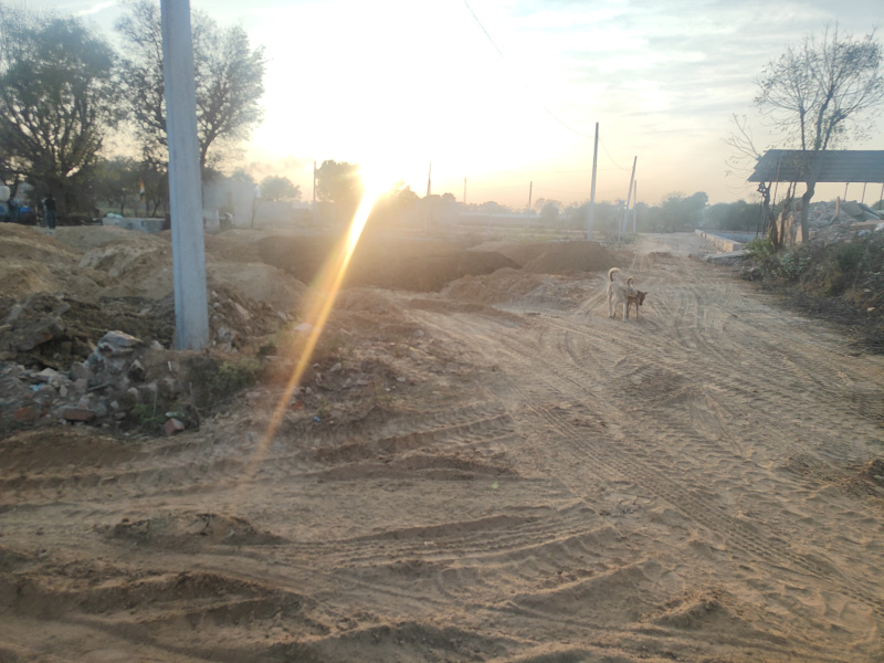  14000 Sq. Yards Farm House for Sale in Kanota, Agra Road, Jaipur