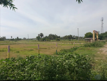  Residential Plot for Sale in Tindivanam, Villupuram