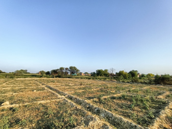  Agricultural Land for Sale in Akbarpur, Kanpur Dehat