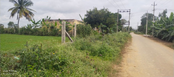  Farm House for Sale in Malur, Kolar