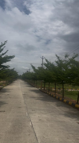 Kothlapur, Medak photo 5