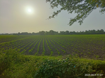 Agricultural Land for Sale in Hasanparthy, Warangal