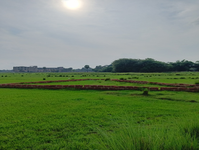  Agricultural Land 1500 Sq.ft. for Sale in Jatani, Bhubaneswar