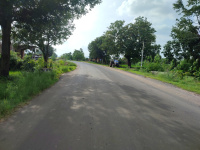  Agricultural Land for Sale in Gaurella, Bilaspur