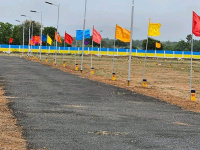  Residential Plot for Sale in Thuraiyur, Tiruchirappalli