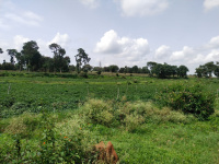  Agricultural Land for Sale in Arkalgud, Hassan
