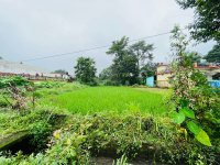  Agricultural Land for Sale in Kotabagh, Nainital