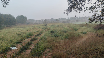  Agricultural Land for Sale in Bommalaramaram, Hyderabad