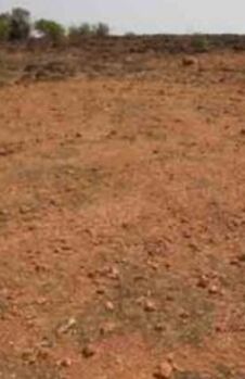  Agricultural Land for Sale in Motakondur, Yadadri Bhuvanagiri