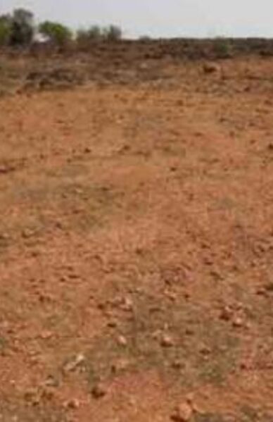  Agricultural Land 4 Ares for Sale in Motakondur, Yadadri Bhuvanagiri