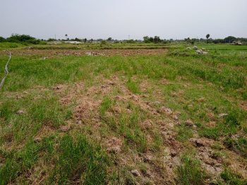  Agricultural Land for Sale in Anumula, Nalgonda