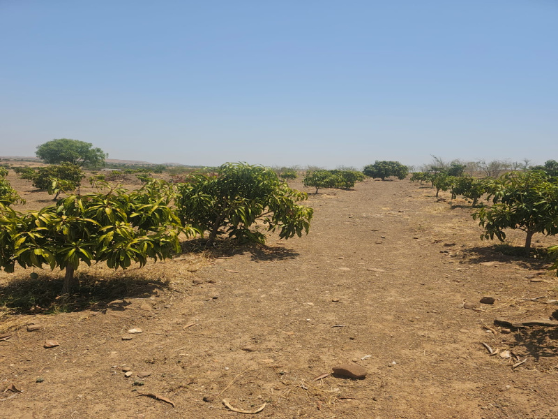 Mhaswad, Satara photo 2