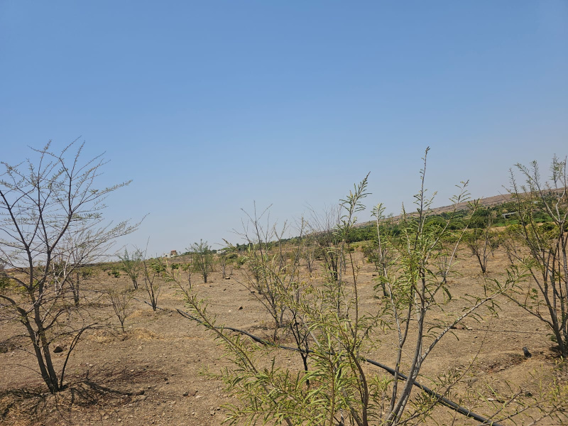 Mhaswad, Satara photo 3