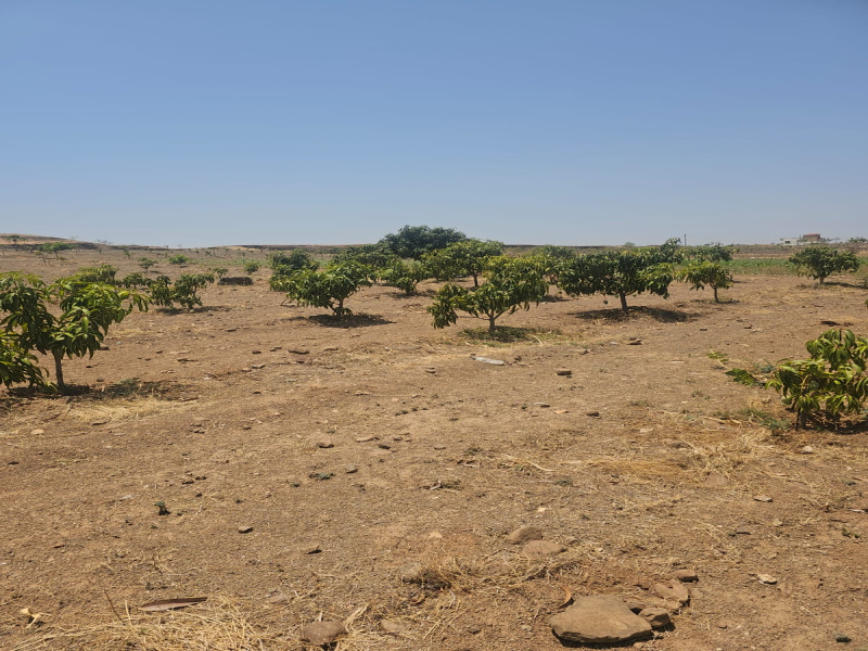 Mhaswad, Satara photo 5