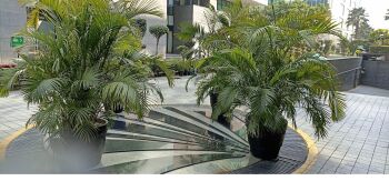  Office Space for Sale in Jasola Vihar, Delhi