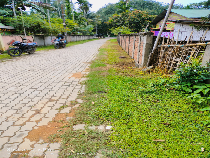  Agricultural Land 1 Bigha for Rent in Bongara Rani Road, Guwahati