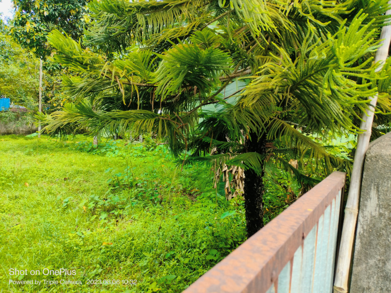  Agricultural Land 1 Bigha for Rent in Bongara Rani Road, Guwahati