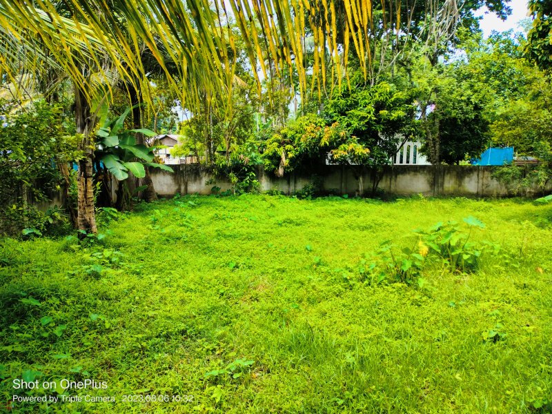  Agricultural Land 1 Bigha for Rent in Bongara Rani Road, Guwahati