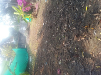  Residential Plot for Sale in Vypin, Kochi