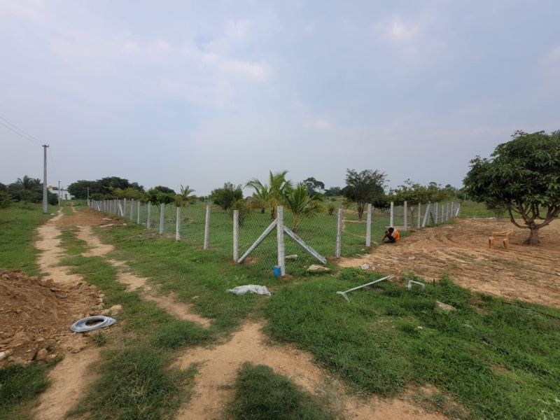  Agricultural Land 15000 Sq.ft. for Sale in Denkanikottai, Krishnagiri