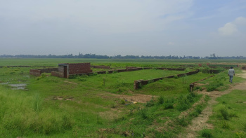  Residential Plot for Sale in Kaudia Jungle, Gorakhpur