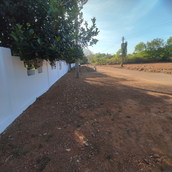  Agricultural Land 100 Guntha for Sale in Kumta, Uttara Kannada