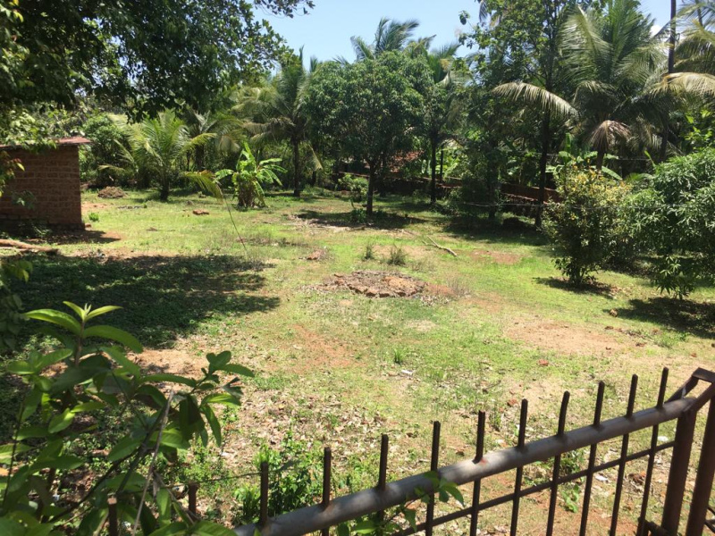  Agricultural Land 9 Guntha for Sale in Ankola, Uttara Kannada