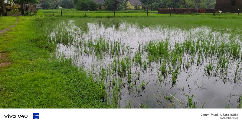  Agricultural Land 8 Guntha for Sale in Ankola, Uttara Kannada