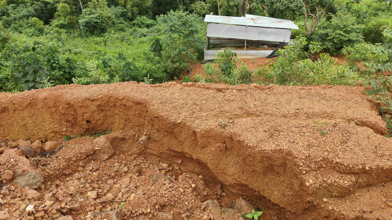 17 Guntha Agricultural/Farm Land for Sale in Gokarna, Uttara Kannada