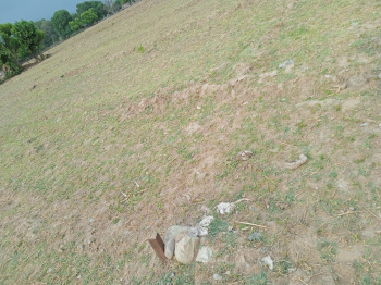  Agricultural Land for Rent in Kotdwara, Pauri Garhwal