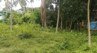  Residential Plot for Sale in Pazhayannur, Thrissur