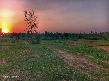  Agricultural Land for Sale in Simlapal, Bankura